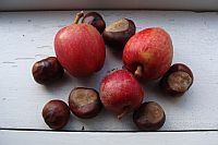 Kastanjer og æbler