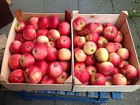 Æbler i kasser