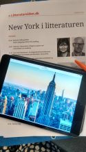 NY i litteraturen